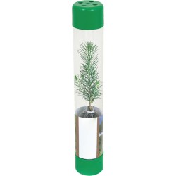 Plastik Şeffaf Ambalaj - Canlı Ağaç Fidanı